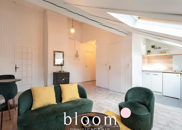 Nancy Gare Superbe Appartement