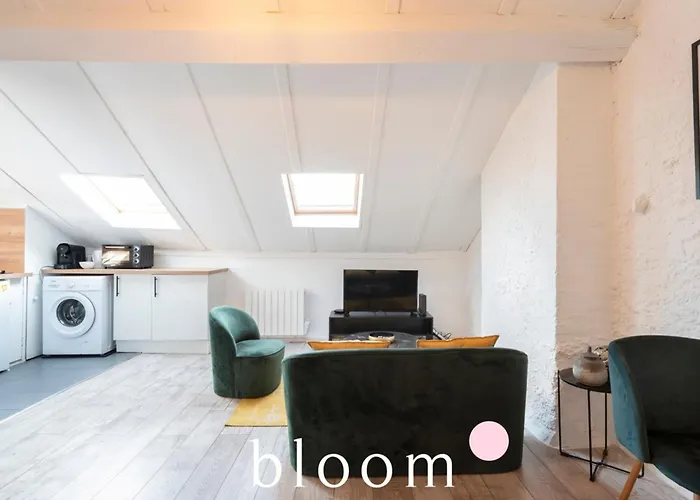 Nancy Gare Superbe Appartement