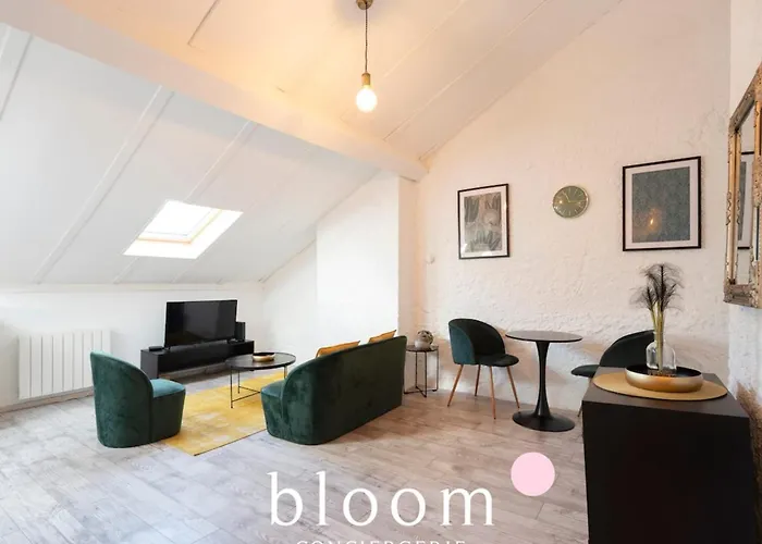 Nancy Gare Superbe Appartement
